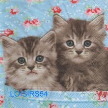Serviette papier 2 petits chats 33 cm x 33 cm